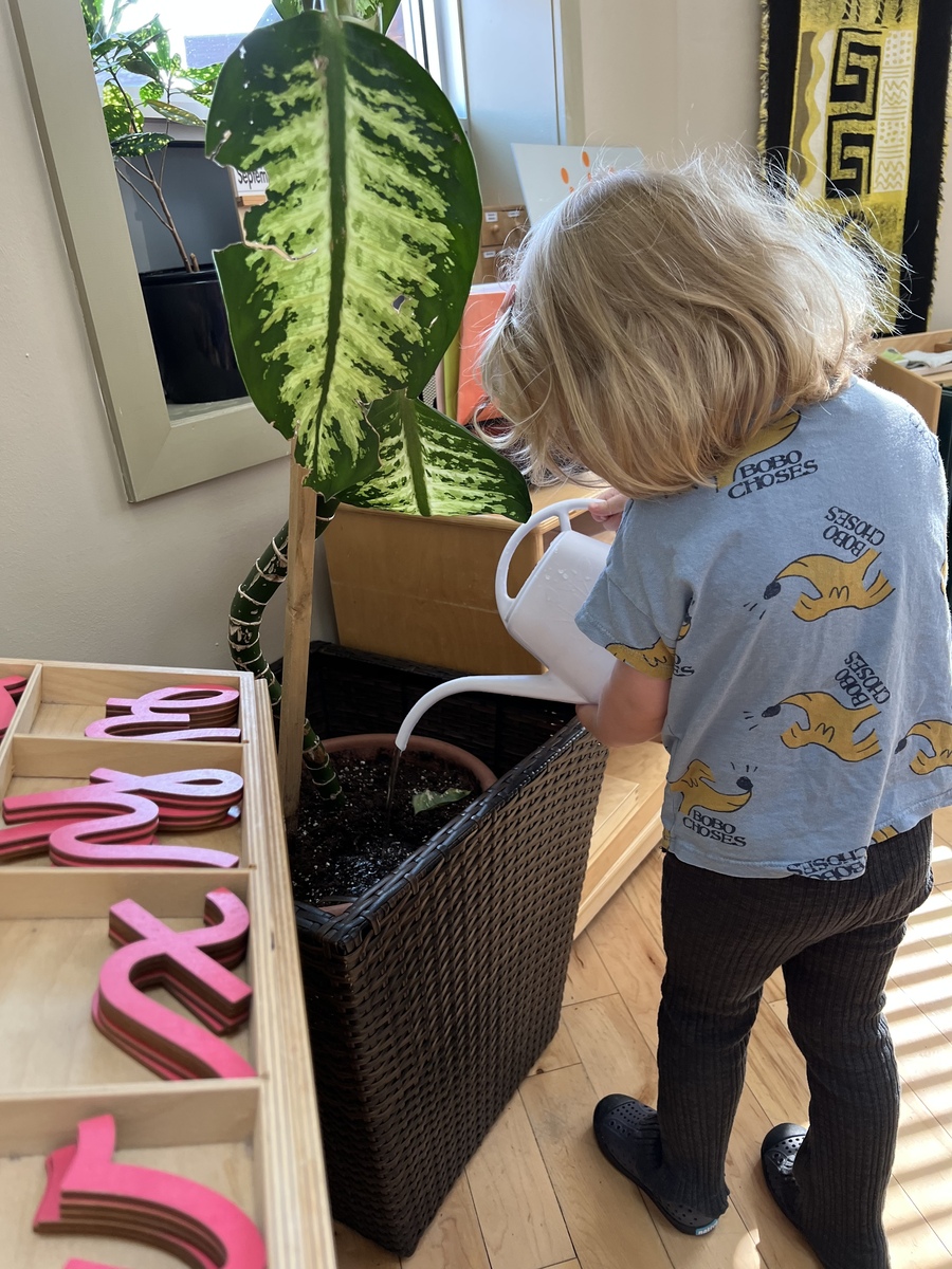 Children collaborating at Sorauren