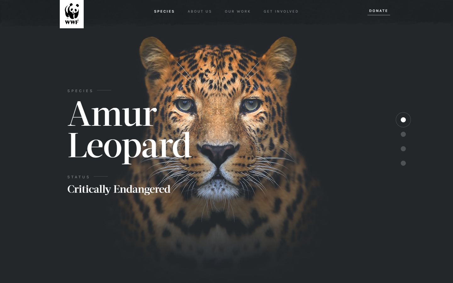 WWF Species interactive concept